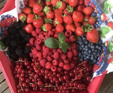 Frische Beeren